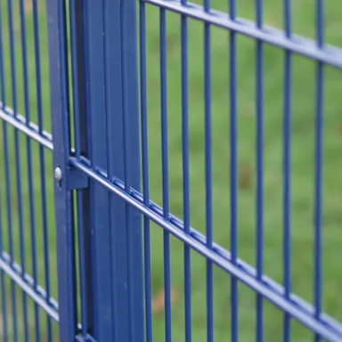 Close-up of twin wire 656 fencing