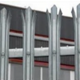 Close-up of Scorpio Standard palisade